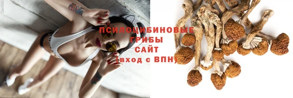 индика Навашино